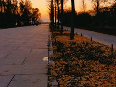 -野鸭湖国家湿地公园