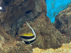-福州罗源湾海洋世界旅游区