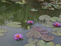 -国家植物园南园