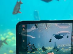 -珠海长隆海洋王国