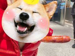 -霁月台现烤猪肉脯(万达茂店)