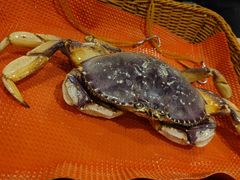 -珍宝海鲜JUMBO Seafood(尚嘉店)