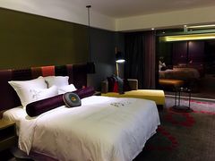 -南京禄口机场雅高铂尔曼大酒店