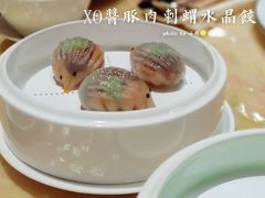 XO酱豚肉刺猬水晶饺-8餐厅(新葡京酒店)