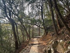 -西湖风景区十里琅珰-五云山