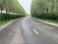 -呼兰河口湿地公园