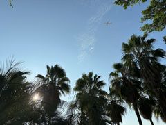 -海沧湾公园
