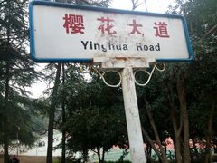 -武汉大学-樱园