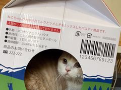 -伟伟宠物医院·CT影像中心·瑞派犬猫综合性门诊(汉口总院)