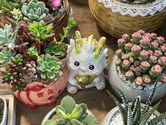 -双季花艺园艺市场(浦东店)