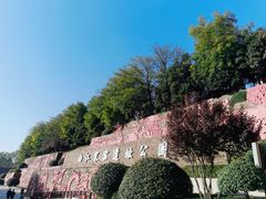 -西安曲江寒窑遗址公园