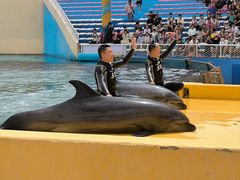 -秦皇岛乐岛海洋王国