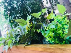 -COSTA COFFEE(新地中心店)