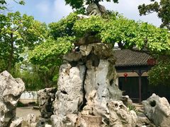 -水绘园