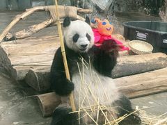 -海南热带野生动植物园