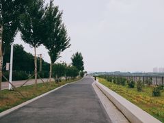 -丁香湖公园