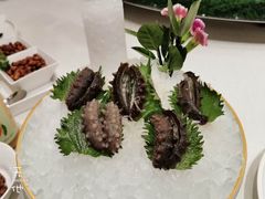 -鞍山大白鲨美食酒店