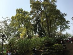-南山植物园