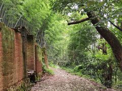 -杨家堂村