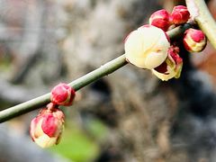 -静安雕塑公园