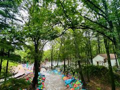 -洛阳白云山景区