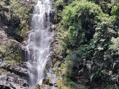 -鼎湖山风景区
