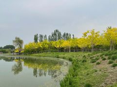 -东郊湿地公园