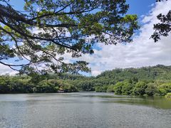 -深圳仙湖植物园