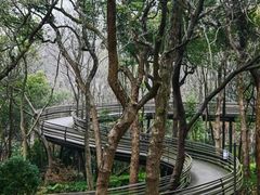 -九曜山