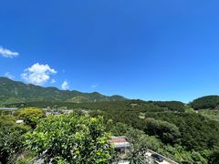 -梨木台悦来客农家院