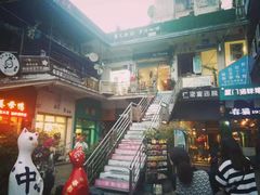 -猫咪博物馆(顶澳仔猫街店)