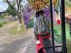 -长洲岛都市农业公园