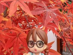 -广州长隆欢乐世界