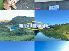 -龙坞茶村