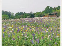 -保利石象湖景区