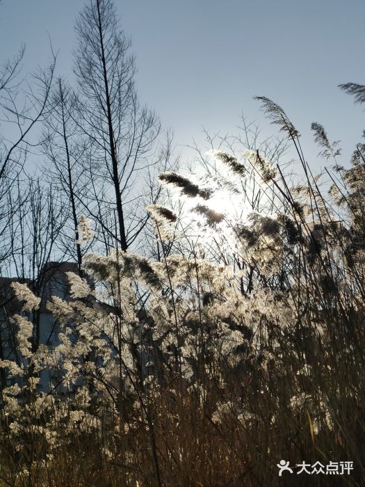 紫荆山公园图片