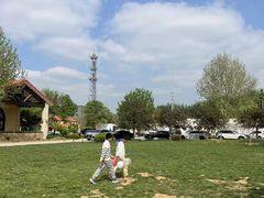 -意大利农场度假村