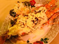 -Red Lobster