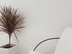 -花沐 FLOWER BATH(凤凰城店)