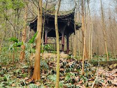 -凤栖山