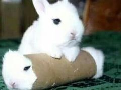 -东南大学附属中大医院(本部)