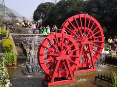 -南山植物园
