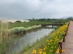 -西京湾花海