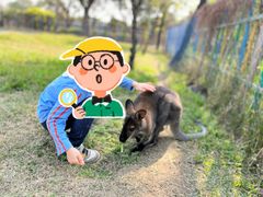 -广东花都香草世界旅游度假区
