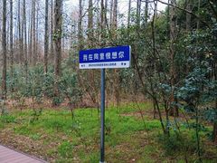 -同里国家湿地公园