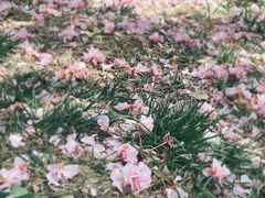 -河风の幸会精致料理