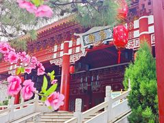 -株洲方特欢乐世界