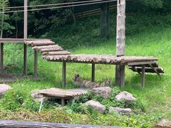 -宁波野生动物园
