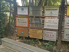 -华侨城湿地公园