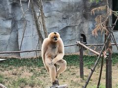 -杭州野生动物世界